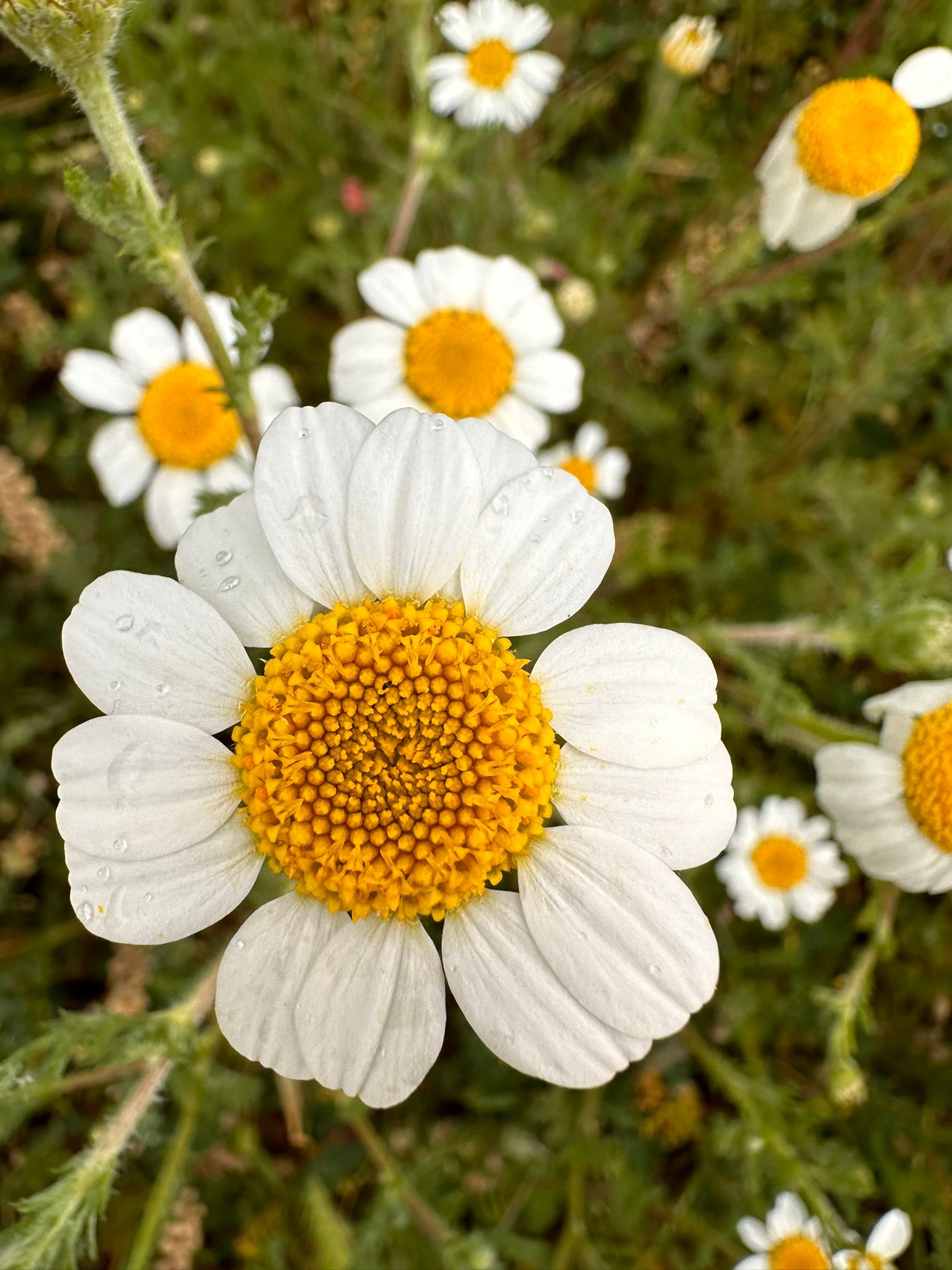 Fotografía Galería 2 29